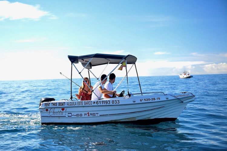 Dolphin watching Tenerife
